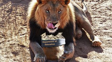 Lion eating Department of Education money