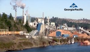 Georgia-Pacific paper mill