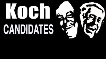 Koch candidates